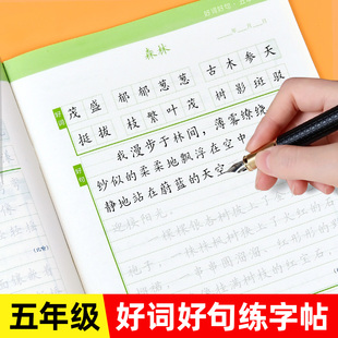 小学生好词好句大全摘抄本练字优美句子积累书五年级教写好作文小作文佳句组词造句词语手册词汇量好句子同步练习训练字词作文素材