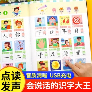 象形识字点读发声书 早教有声书宝宝学汉字识字卡3000字幼儿园会说话 识字大王2000字幼儿认字有声读物启蒙认知 儿童识字会说话