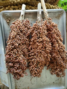 红高粱穗  大红高粱 一斤3-6穗 装饰鹦鹉鸽子仓鼠逗逗捧棒一斤包