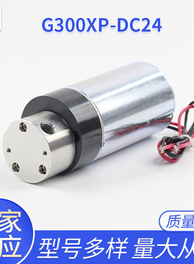 G308XP/DC24炒菜锅喷油果糖机食品级齿轮泵食品级材料G312XP/DC24