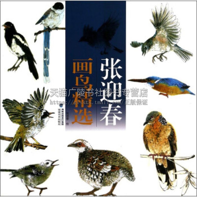 张迎春画鸟精选 中国画技法国画入门基础教程书籍工笔白描画花卉技法国画初学者画动物技巧畅销全新正版平装12开福建美术出版社