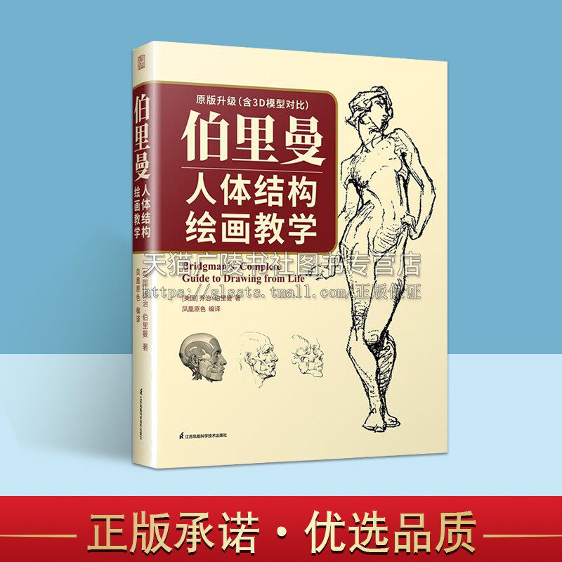 伯里曼人体结构绘画教学 3d模型对比素描基础教程 理解人体形态基础