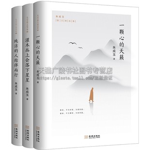 朱成玉散文精选集全套3册纯洁的人结伴而行 灌木丛上会落下星星 一颗心的天籁 现当代文学作品集散文写作技巧阅读范本课外阅读书籍