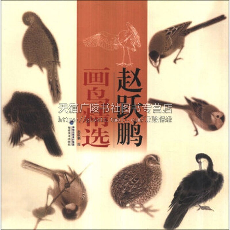 赵跃鹏画鸟精选 中国画技法国画入门基础教程书籍工笔白描画花卉技法国画初学者画动物技巧畅销全新正版平装12开福建美术出版社
