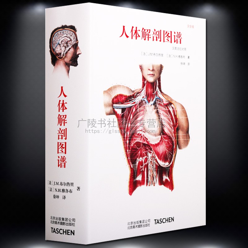 现货 人体解剖图谱 汉英法拉对照 J.M.布尔热里著高清解剖学图谱作品西方医学基础人体解剖学艺用解剖图鉴中英文北京美术摄影出版