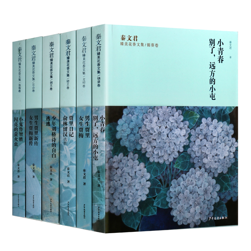 秦文君蓝色系列 套装共6册 中国当代长篇小说作品集 儿童青少年中小学生阅读 现代文学经典畅销书籍 上海少年儿童出版社