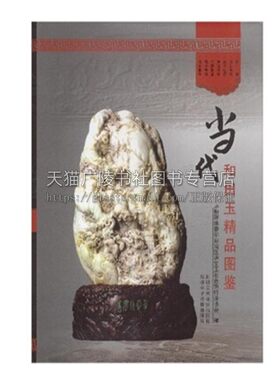 当代和田玉精品图集 新疆维吾尔自治区珠宝玉石首饰行业协会著精装佛缘冰清玉洁美玉佳话物造精华恬静雅宜正版畅销书籍新疆美影