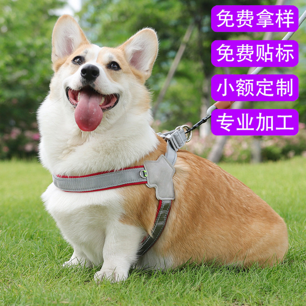 亚马逊跨境宠物胸背带宠物猫咪狗狗Y型胸背带透气反光狗挽具工厂