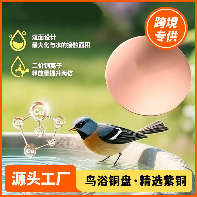 跨境鸟浴铜盘Bird Bath Disk户外水池净化清洁铜片工厂精选紫铜
