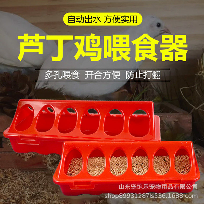 批发芦丁鸡长条多孔喂食器喂水器小鸡食槽食盆鹌鹑喝水器喂食盆