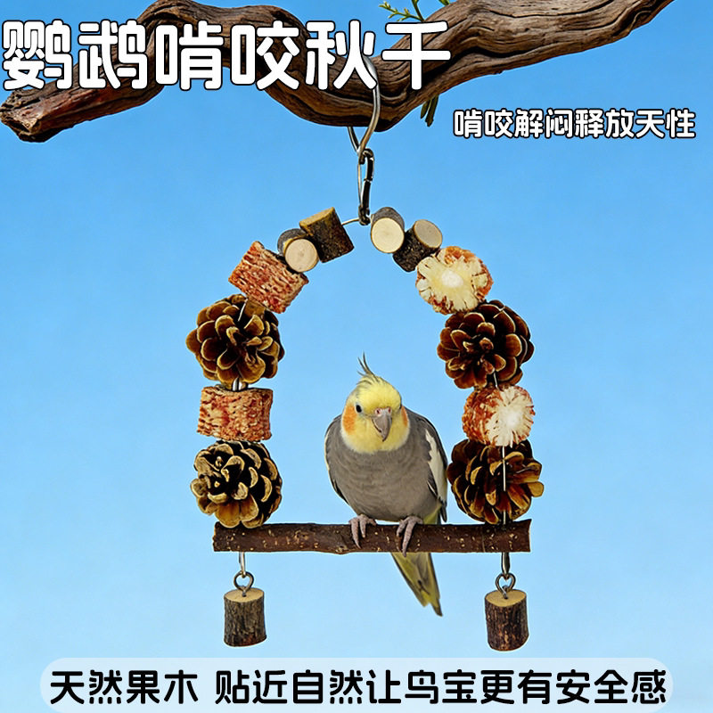 鹦鹉啃咬秋千啃咬玩具磨爪磨喙磨牙休闲娱乐虎皮牡丹玄凤代发跨境