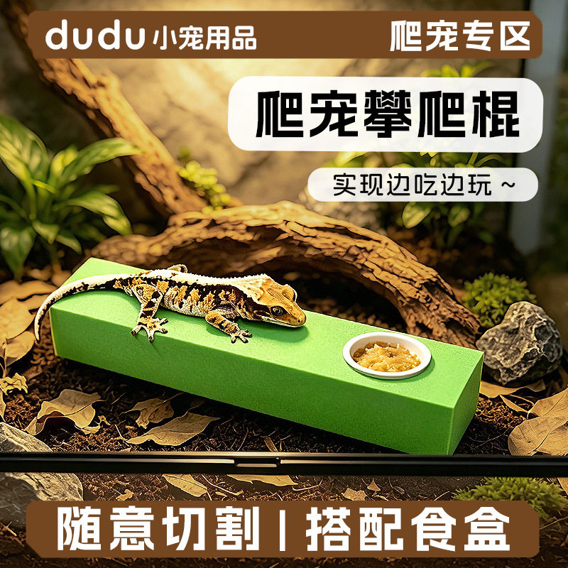 爬宠可喂食攀爬棒爬宠树栖爬虫睫角盖勾亚树蛙饲养缸造景跨境