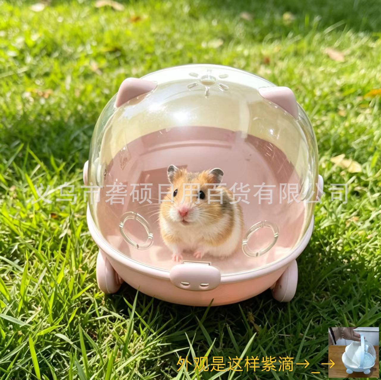 外出防逃宠物笼超萌宠物外带透气窝牡丹刺猬松鼠仓鼠鹦鹉外带笼子