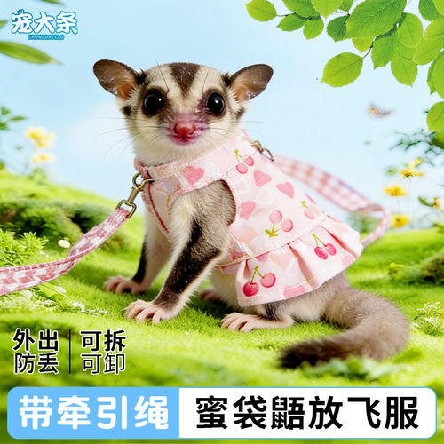 蜜袋鼯放飞服牵引绳防飞防丢防上树飞鼠衣服蜜袋鼬代发跨境GL