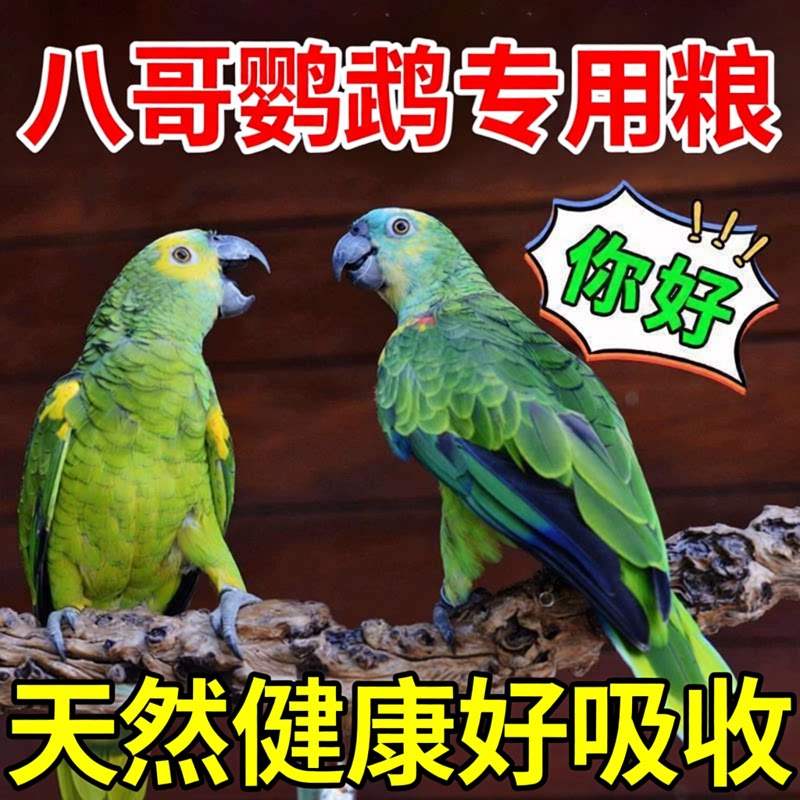 鹦鹉粮食玄凤虎皮牡丹中小鹦鹉混合鸟食饲料帮助开嗓易吸收消化