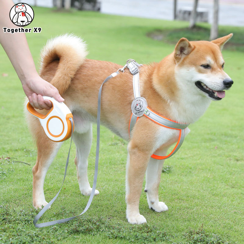 跨境宠物牵引绳 反光中大型犬狗背带背心式狗绳子宠物胸背带批发