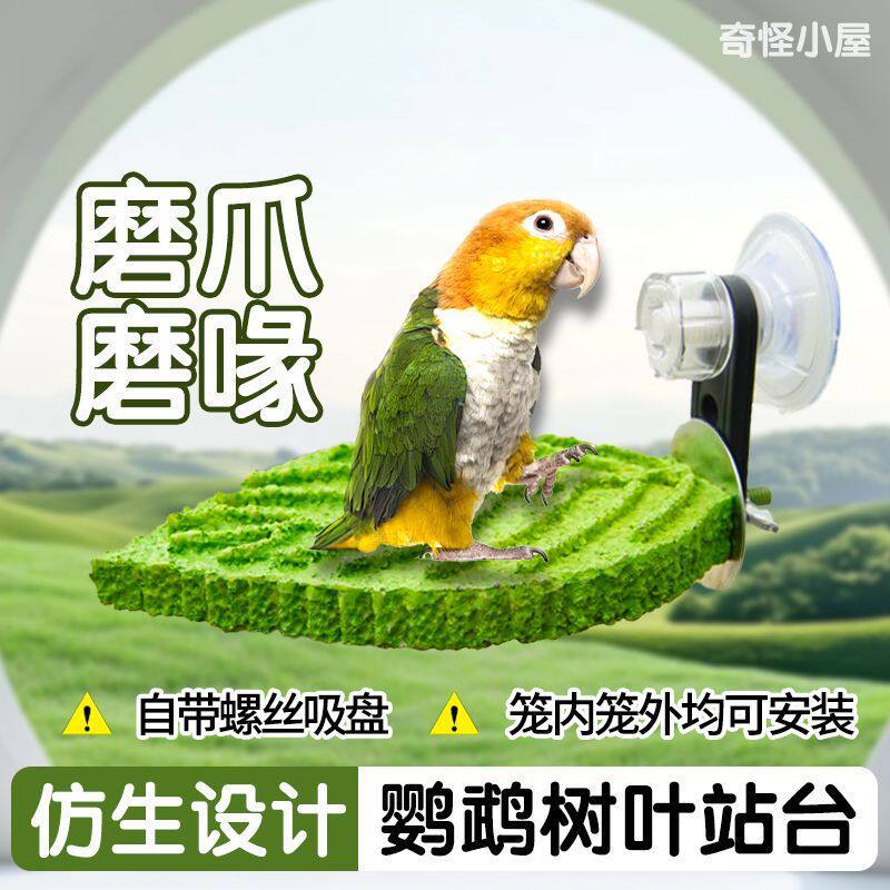 鹦鹉磨砂站杆磨爪磨嘴小太阳玄凤牡丹 吸盘站杆跨境全网lp