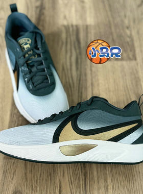 Nike FREAK 6男女子青少年舒适透气防滑耐磨低帮篮球鞋FZ7305-300