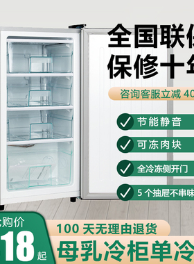 冰极熊冰箱小冷柜小型家用全冷冻冰箱迷你冻母乳冷柜侧开门抽屉式