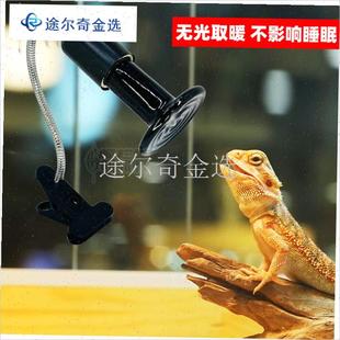 鹦鹉取暖灯万向灯头可调r方向灯座宠物陶瓷红外保温灯蜜袋鼯加热