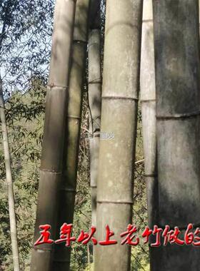 l蒸笼竹子把手片小笼包屉