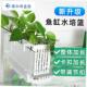 鱼缸水培固定篮挂篮长方形大号加深周转箱植物固定支Y架水族定植