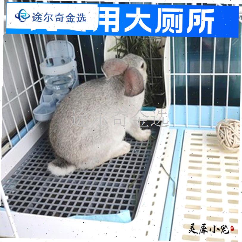 兔子专用厕所g大号金属网铁不锈钢不卡屎荷兰猪便盆宠物接尿盆猫