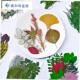 干花叶标本d材料包装 植物标签收集环保创作手工艺班教学互动粘贴