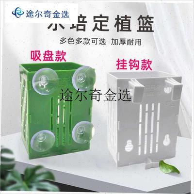 `水培篮植物固定架定植篮壁挂吸盘式水草P杯鱼缸造景装饰配件正品