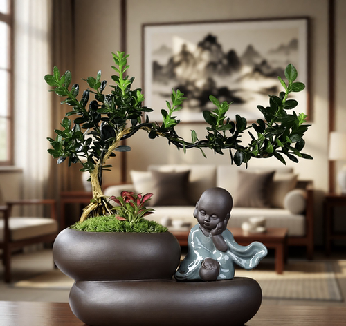 黄杨盆栽植物室内好养易