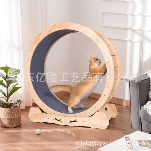 猫锻炼器适用于室内猫大型小型动物运动轮带锁定机制的猫跑步机轮