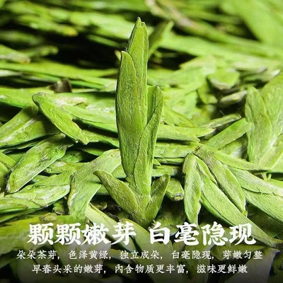 26新茶  明前头采特级龙井茶 50克