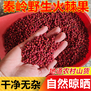 秦岭野生火棘果子干货火棘子火把果泡茶酒救兵粮救军赤阳子中药材