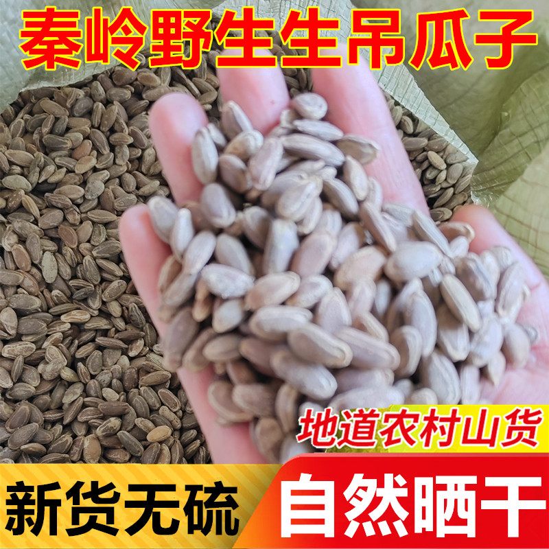 新鲜中大粒颗生吊瓜子新货原味吊