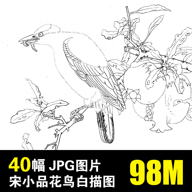 宋画小品花鸟白描稿团扇底稿工笔画线稿绘画临摹设计素材电子图片