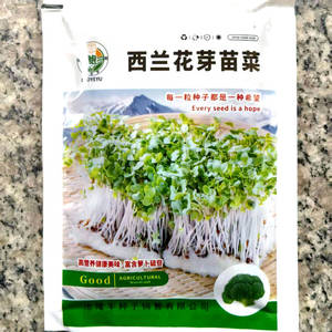水培西兰花芽苗菜种子100克