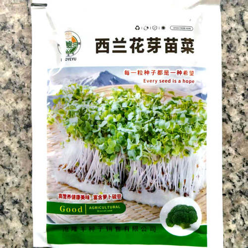 水培西兰花芽苗菜种子100克
