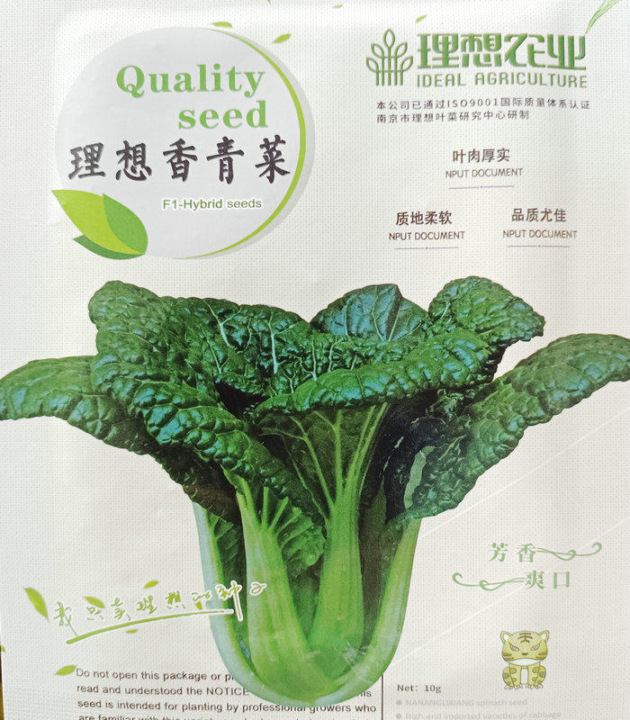 理想香青菜黑心乌种子黑油白菜种籽随州泡泡青菜乌塌菜耐寒蔬菜孑