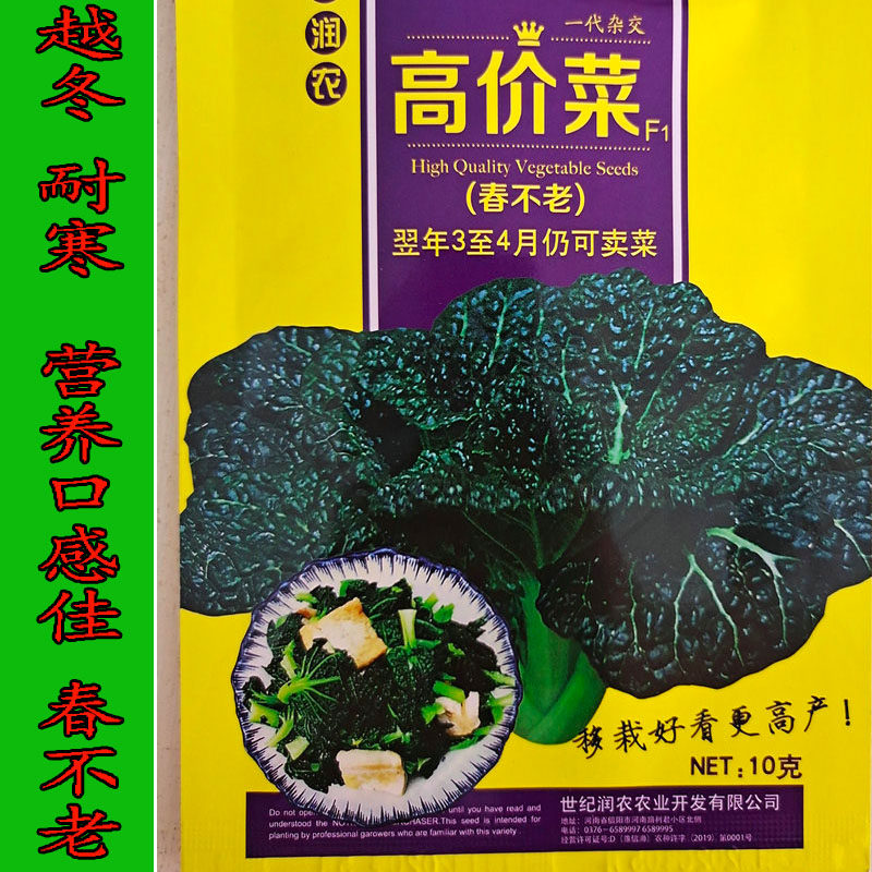 泡泡青种籽春不老高价菜种子皱叶黑油白菜小青菜耐寒秋冬季蔬菜孑