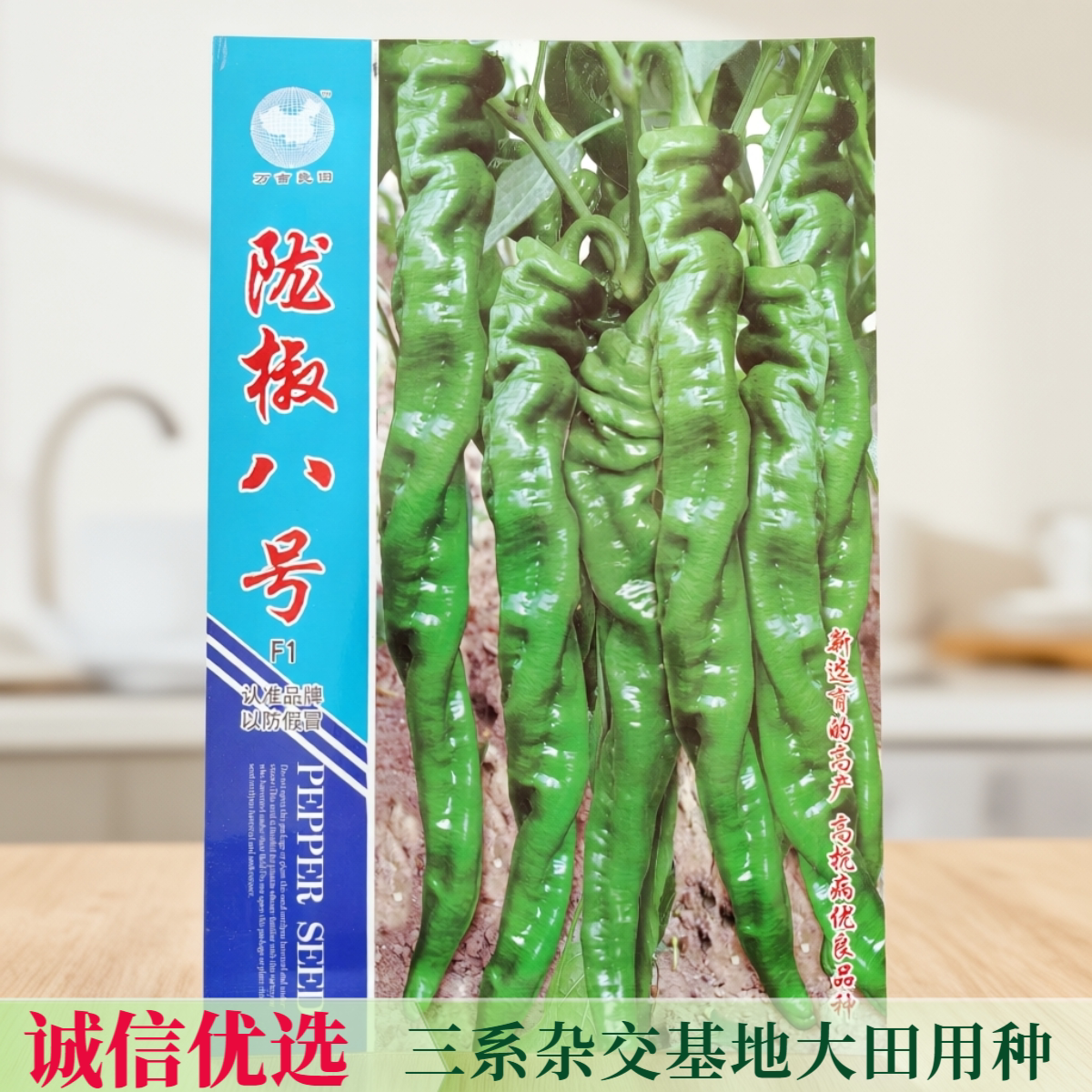 特大陇椒八号巨型极美高产螺丝