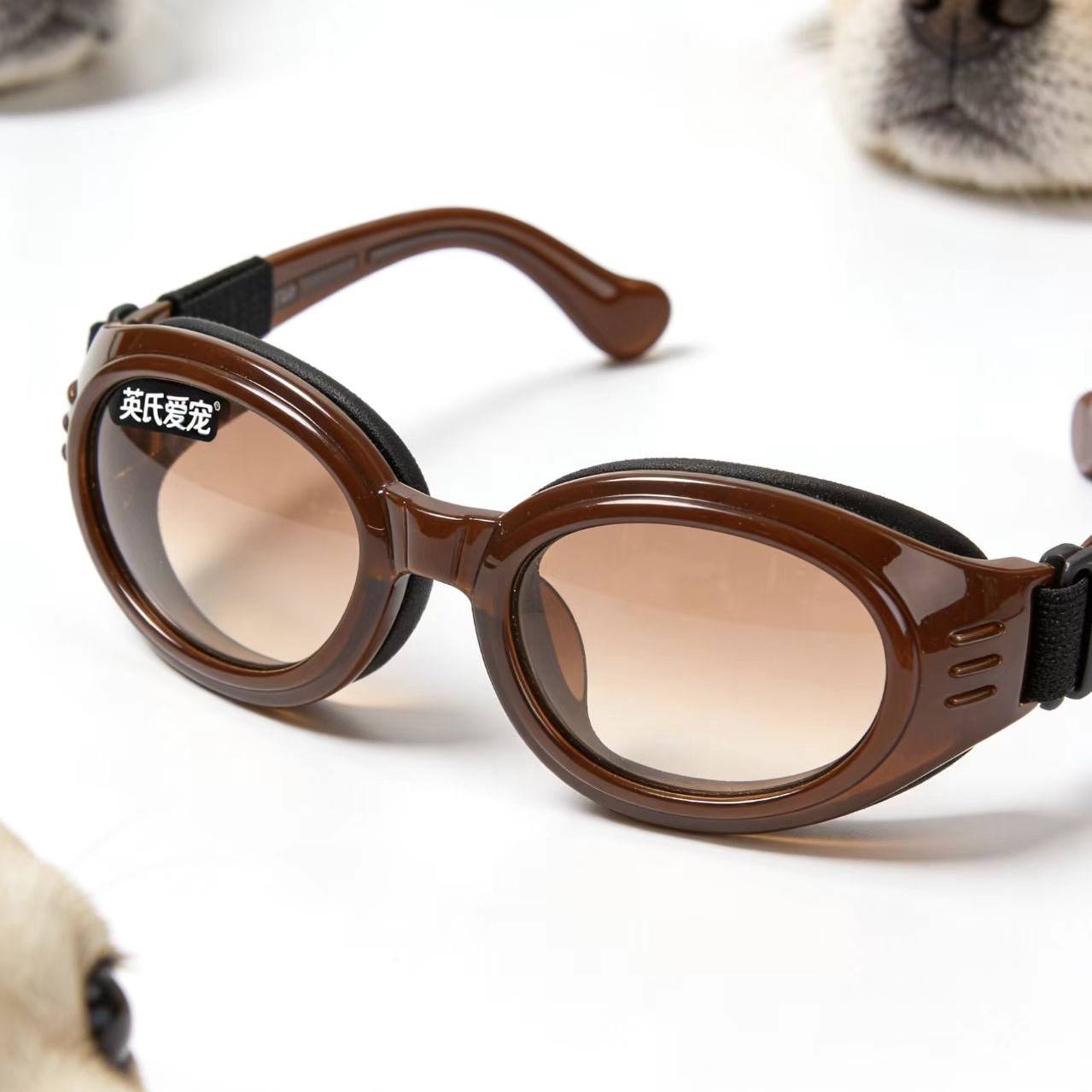 英氏爱宠宠物眼镜【定制】,宠物/宠物食品及用品,宠物眼镜/护目镜,淘宝优惠券,粉丝福利购,淘宝优惠卷