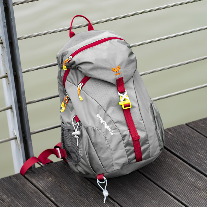 江麒旅行旅游25L女双肩包