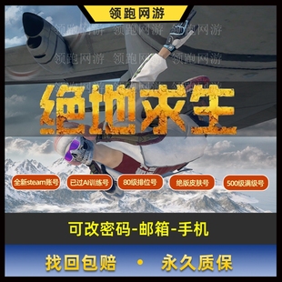 绝地求生过训练号排位号生存500级皮肤号吃鸡白号pubg账户库存号