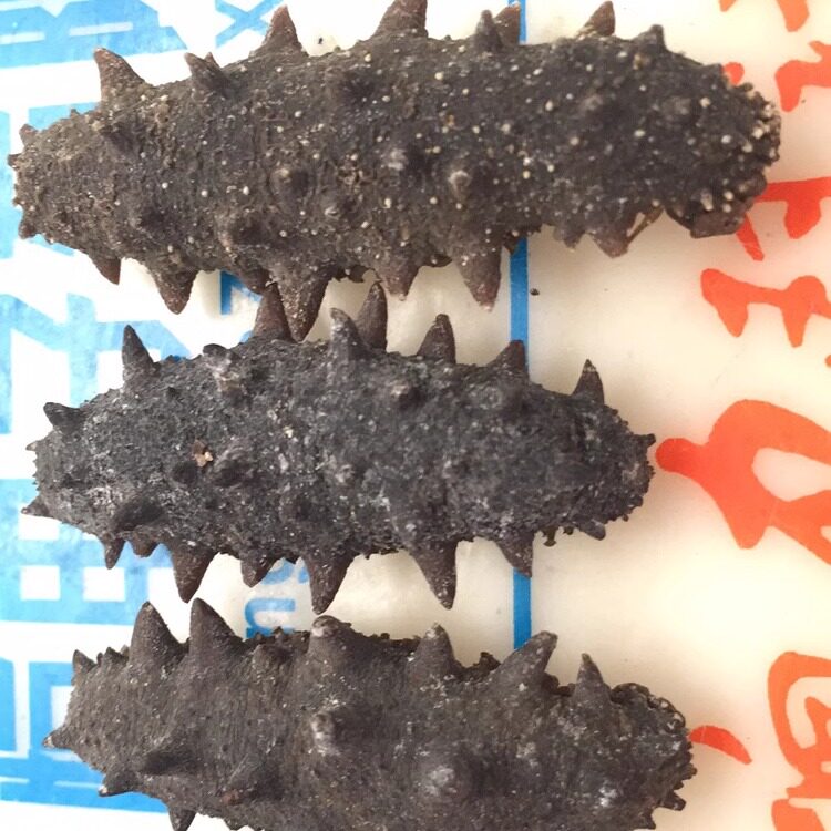 阳江野生半斤海参一袋包邮