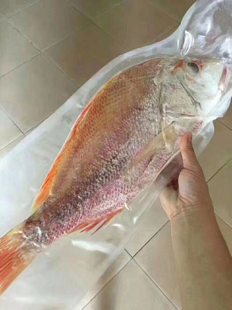 阳江沙扒月亮湾 渔船深海红鳍 赤鳍笛鲷 赤鸡仔 红鱼 大红鱼