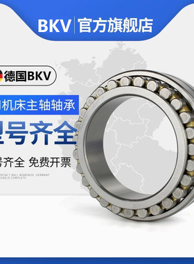德国BKV机床主轴轴承NN3005K/w33 NN3006K/W33/W33/P5/P4/P2