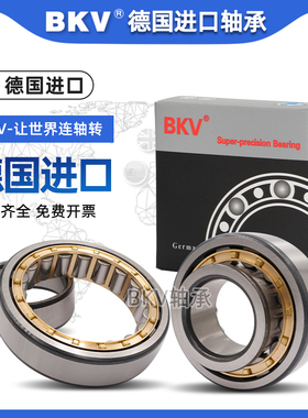 德国BKV进口轴承N2307/2308/2309/2310/2311/2312/2313EM/C3P4P5
