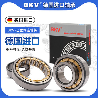 德国BKV进口轴承N2307/2308/2309/2310/2311/2312/2313EM/C3P4P5