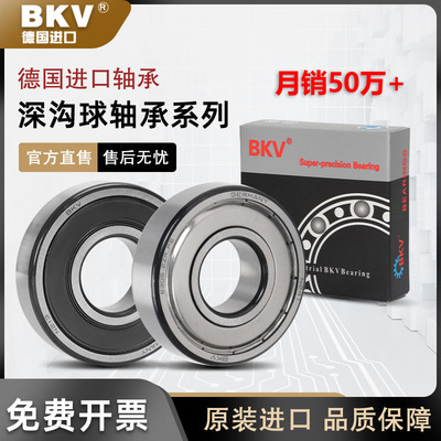 德国进口BKV带挡边法兰台阶轴承