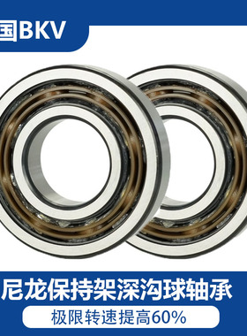 德国BKV进口轴承6209汽车电机轴承6210尼龙保持架6211 6212-TN